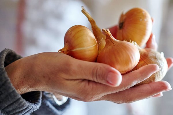 Kraken магазин kraken clear com